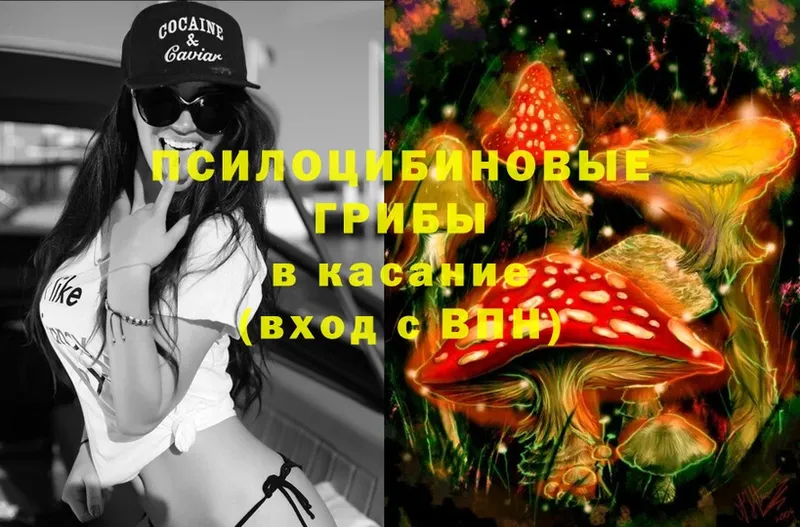 Псилоцибиновые грибы Magic Shrooms  купить  сайты  Белореченск 